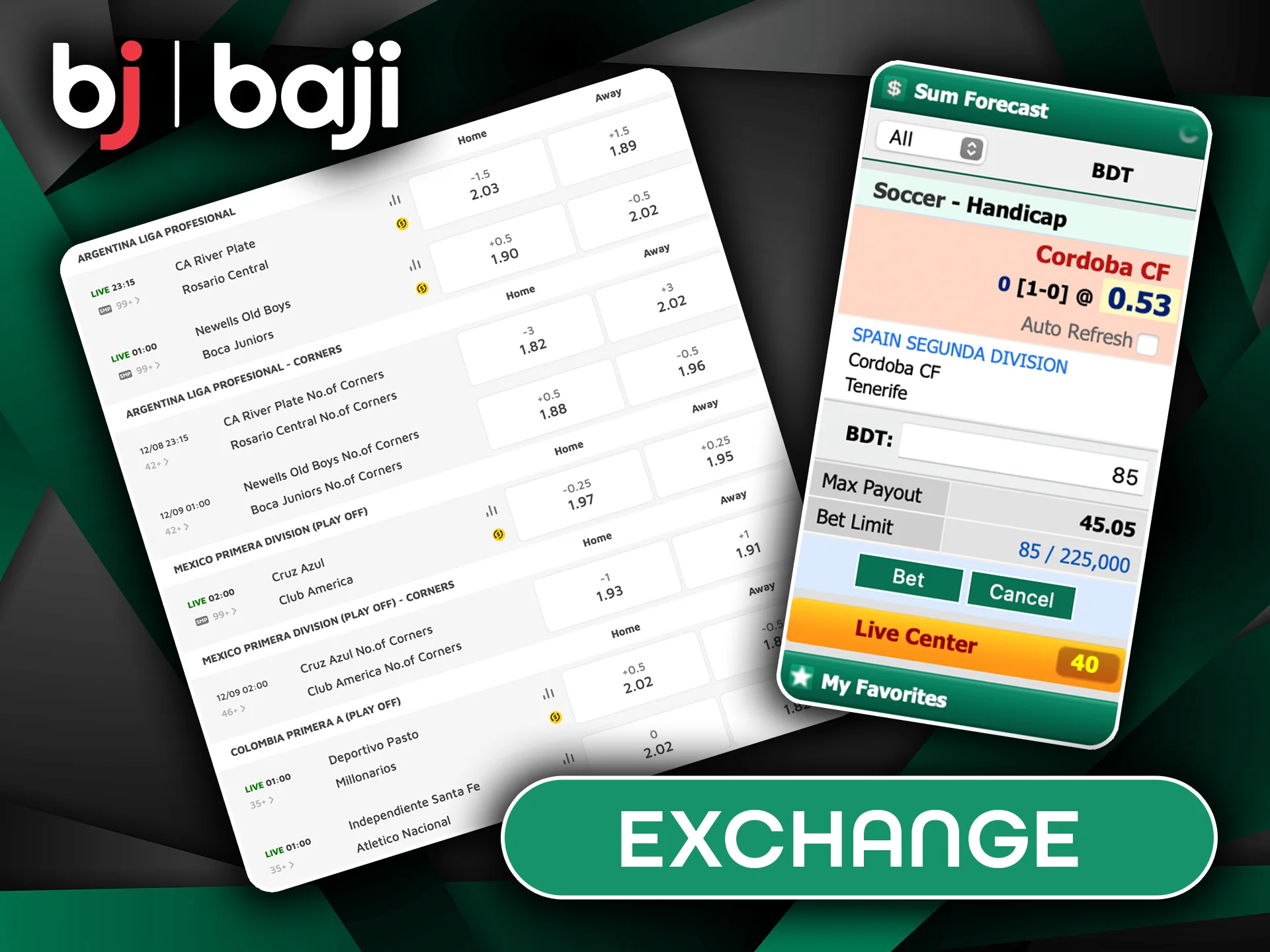 Unlock New Opportunities at the Baji Exchange.