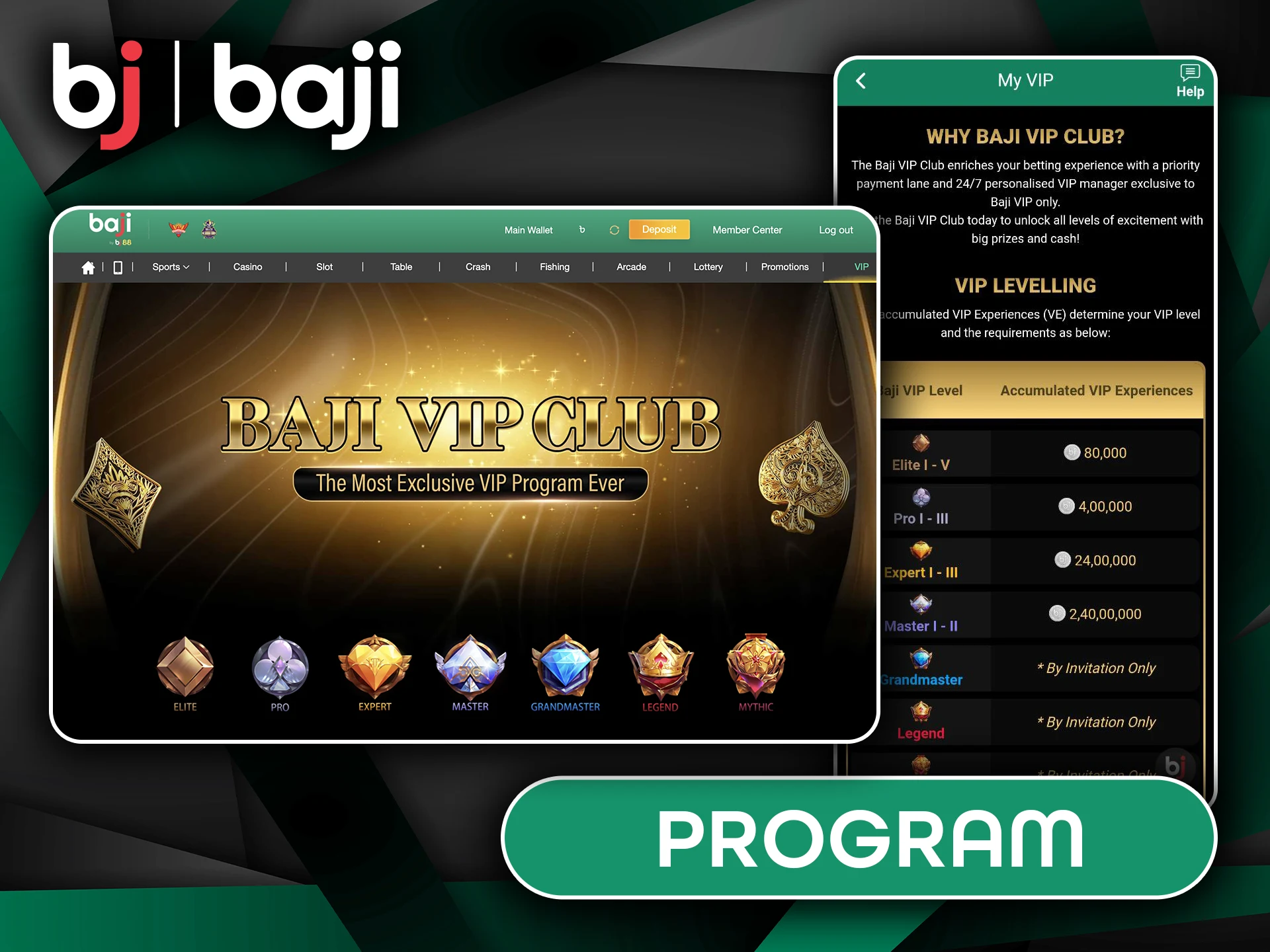 Overview of the Baji VIP Program.